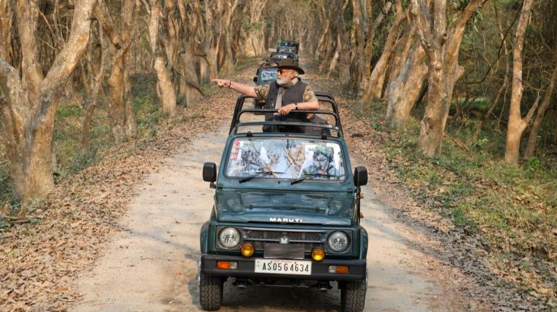 PM Narendra Modi Takes ‘Elephant Safari’ in Assam's Kaziranga