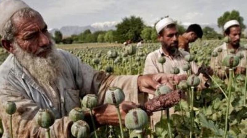 Afghanistan Latest News