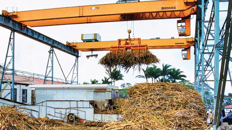 Sugar mills in Maharashtra