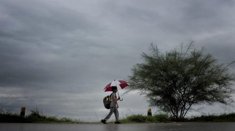 Heavy rain forecast for Odisha in next 48 hours