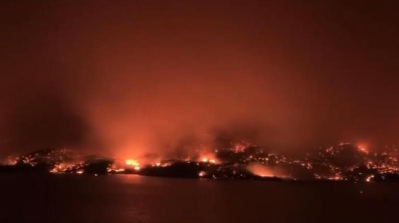 Wildfire 