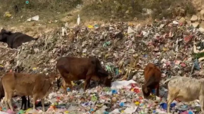 Uttarakhand: Haridwar Residents Demand Relocation of Dumping Yard as Domestic Waste Pollutes Ganga (IMage courtesy:TOI) Uttarakhand: Haridwar Residents Demand Relocation of Dumping Yard as Domestic Waste Pollutes Ganga (IMage courtesy:TOI)