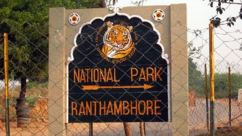 Rajasthan's Ranthambhore National Park Rajasthan's Ranthambhore National Park