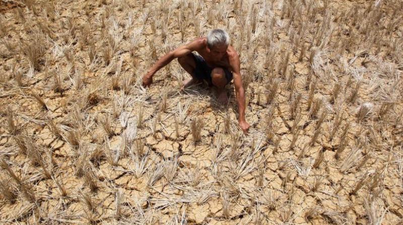40-year-old farmer from Gujarat allegedly committed suicide