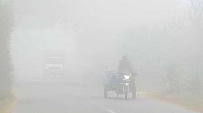Punjab Weather News Update Today Dense Fog, Cold Wave Conditions