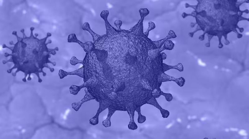 What is new JN 1 variant of COVID-19 virus? Should you be worried? What is new JN 1 variant of COVID-19 virus? Should you be worried?