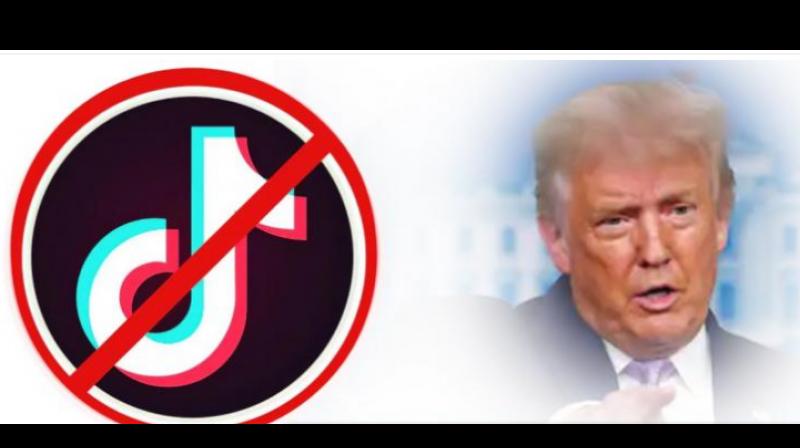 Donald Trump Donald Trump