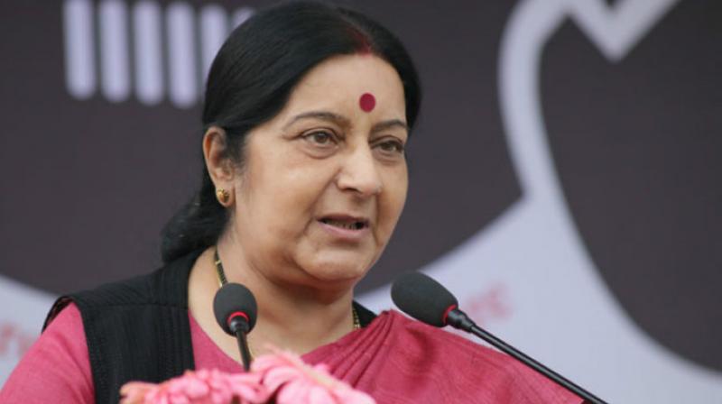 External Affairs Minister Sushma Swaraj External Affairs Minister Sushma Swaraj