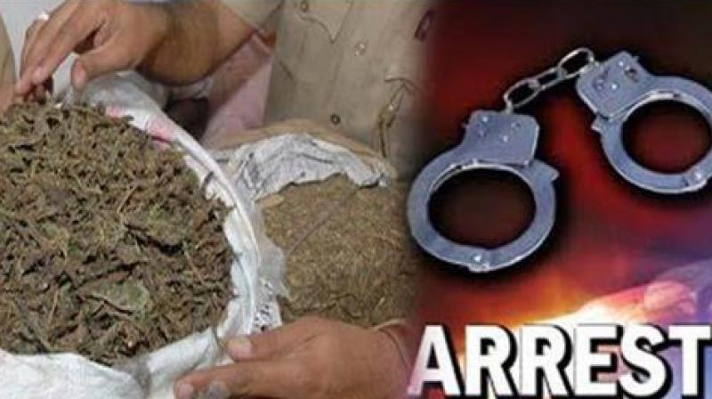 Narcotic smuggler today arrested with 20 kg of poppy