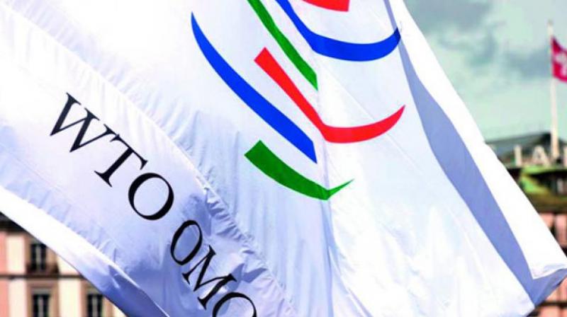 WTO sets up panel to resolve India-US renewable case WTO sets up panel to resolve India-US renewable case