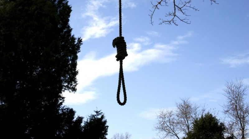 Man, woman found hanging from tree