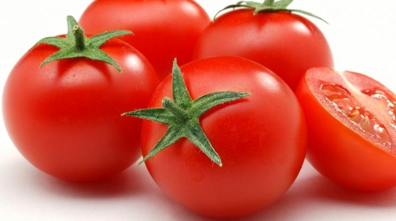 Tomato extracts can fight stomach cancer