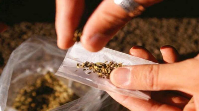 Narcotics smuggler held Narcotics smuggler held