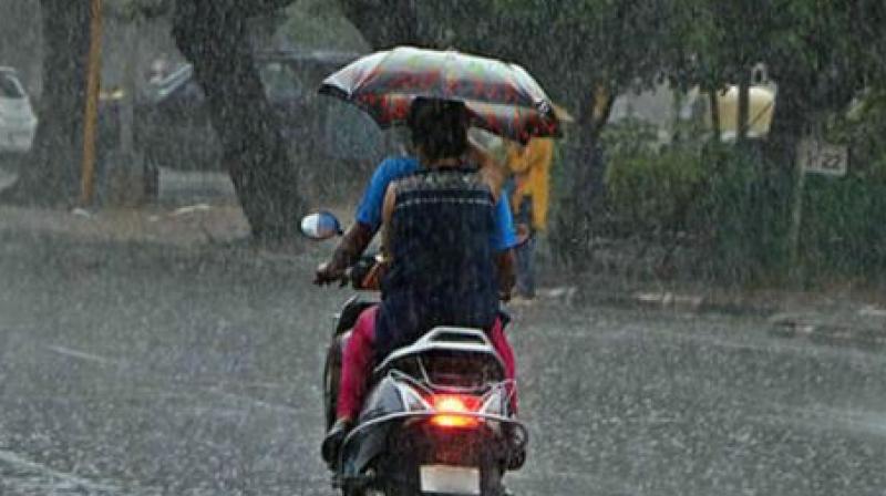 Rain & Storm in Punjab