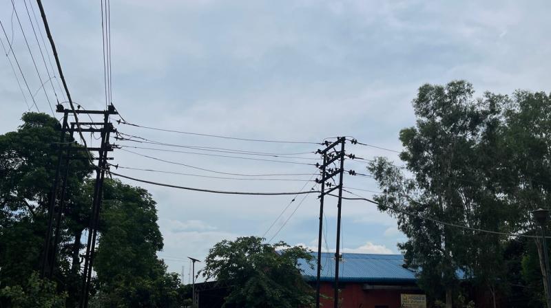 IMD Chandigarh Issues Yellow Alert for Four South-Western Punjab Districts IMD Chandigarh Issues Yellow Alert for Four South-Western Punjab Districts