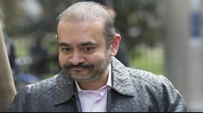 Nirav Modi