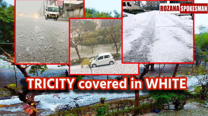 Chandigarh Mohali Panchkula Tricity Hailstorm Weather Rainfall Update Today 