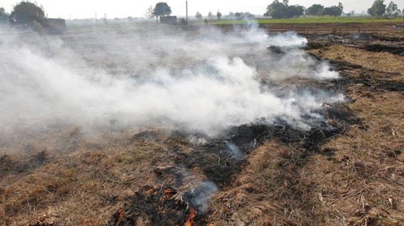 Intensive Anti-Stubble Burning Campaign Intensive Anti-Stubble Burning Campaign