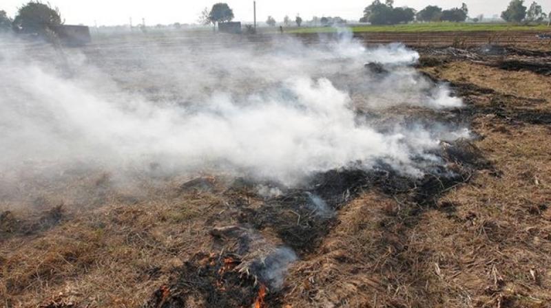 Intensive Anti-Stubble Burning Campaign