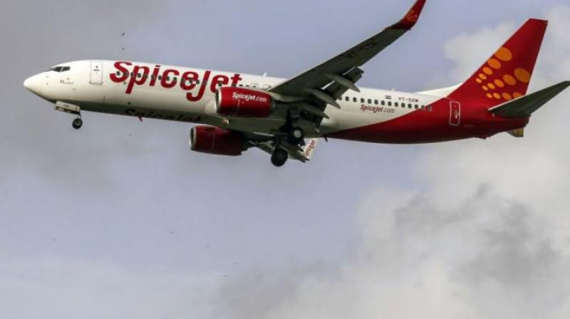 SpiceJet SpiceJet