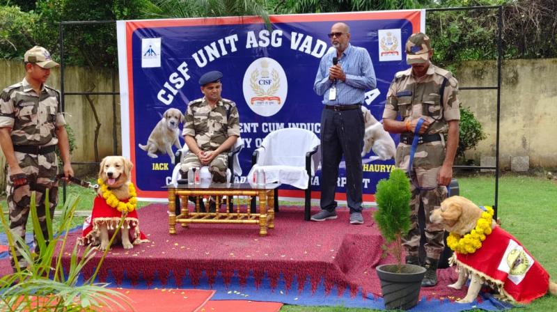 CISF bid farewell to “Adolf(Jack)” & induct K9 “Shaurya" for Explosive Detection, Into Canine Squad CISF bid farewell to “Adolf(Jack)” & induct K9 “Shaurya" for Explosive Detection, Into Canine Squad