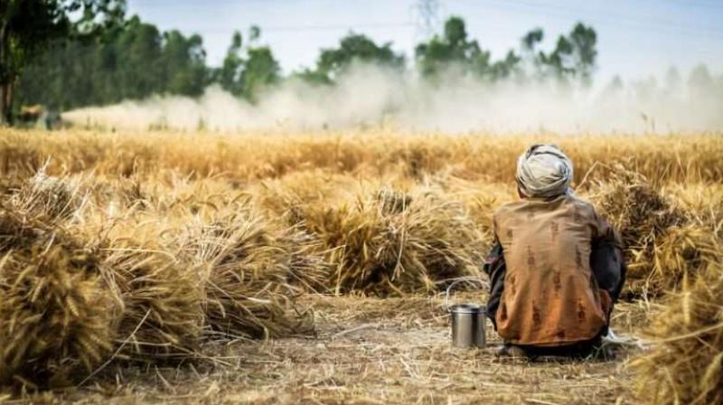 Farmer commits suicide Farmer commits suicide