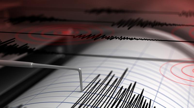 4.0 magnitude earthquake was felt 