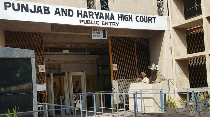 "They have right to protest peacefully", says HC on Farmers' Protest "They have right to protest peacefully", says HC on Farmers' Protest