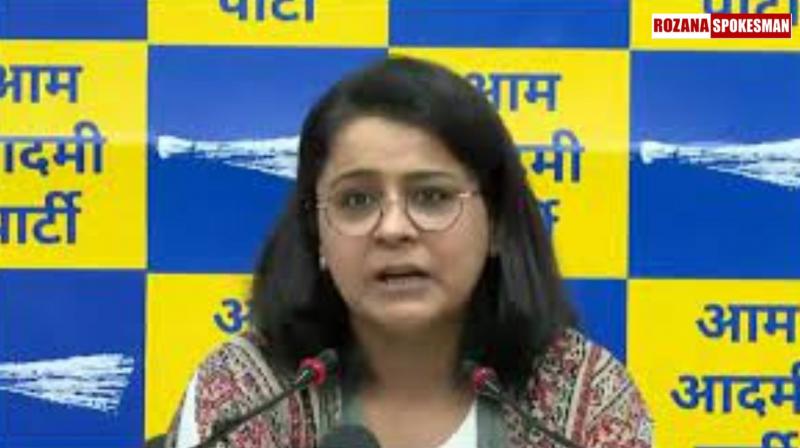 AAP to Contest Delhi Assembly Elections Alone, Says Party Spokesperson Priyanka Kakkar AAP to Contest Delhi Assembly Elections Alone, Says Party Spokesperson Priyanka Kakkar