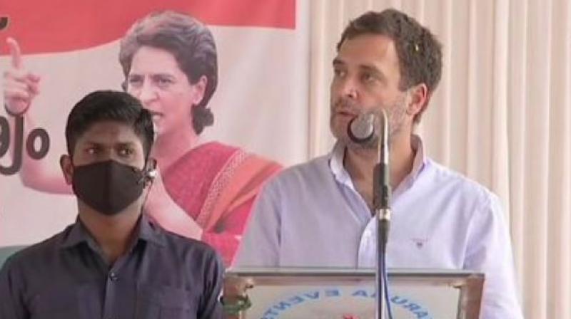 Rahul Gandhi Rahul Gandhi