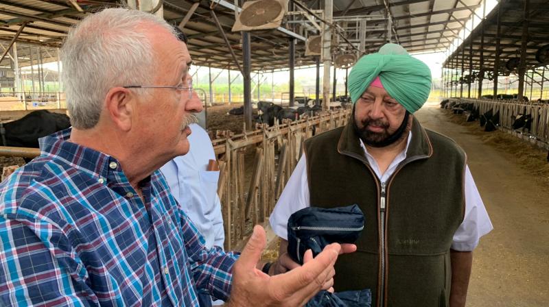 Captain Amarinder Singh during his visit to the Afikim Dairy Farm 