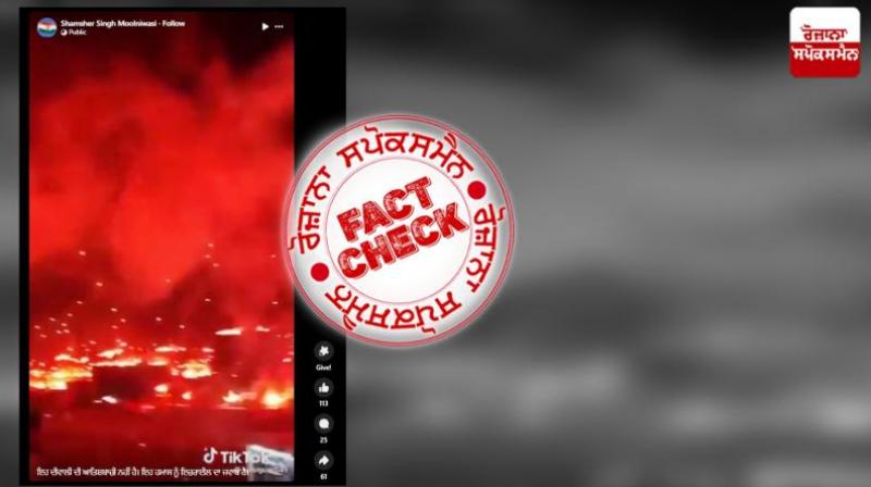 Fact Check Report Fact Check Report