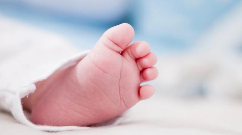 Premature Births Premature Births