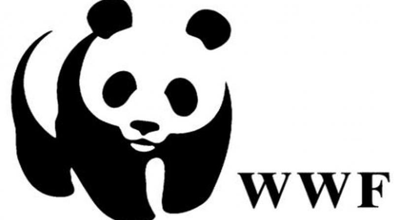 WWF-India launches first-ever nature-themed comic book WWF-India launches first-ever nature-themed comic book