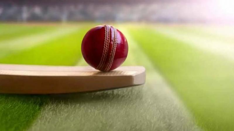 Cricket Cricket