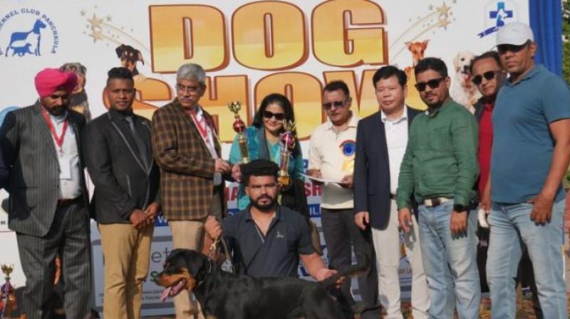 Two-Day Mega Dog Show in Chandigarh