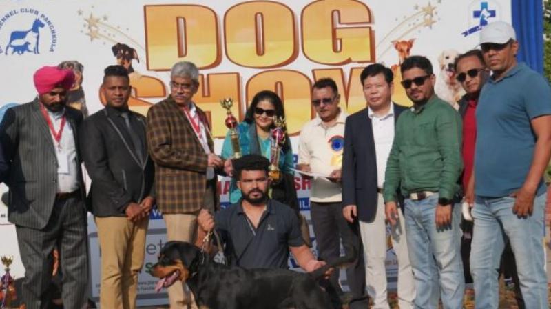 Two-Day Mega Dog Show in Chandigarh Two-Day Mega Dog Show in Chandigarh