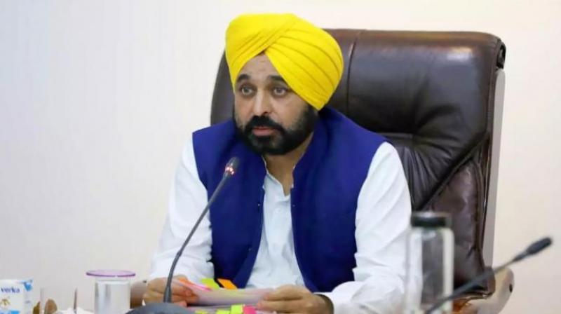 Punjab CM Bhagwant Mann 