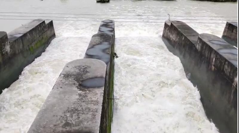 Pong Dam Water Level Rises by 6 Feet; 13 Feet Below Danger Mark, 4 Floodgates Opened by 2 Feet Pong Dam Water Level Rises by 6 Feet; 13 Feet Below Danger Mark, 4 Floodgates Opened by 2 Feet