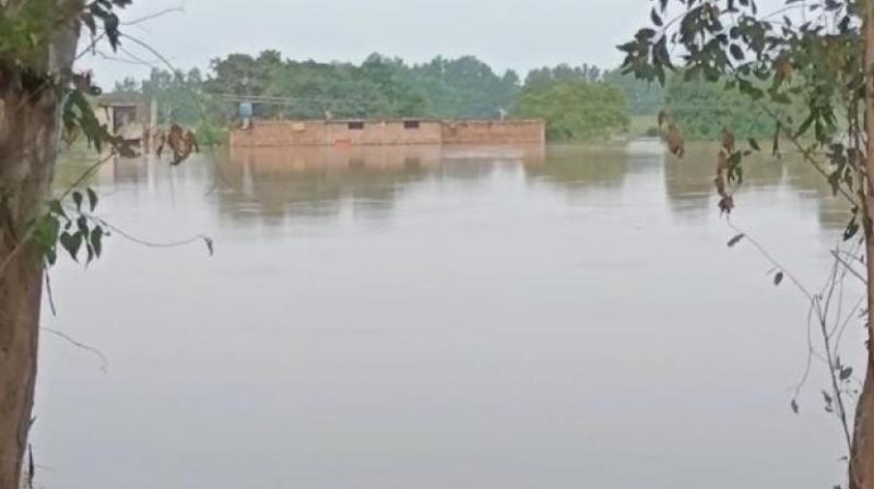 Punjab Flood 