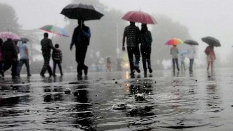 Heavy rain accompanied by gusty winds in Kashmir 