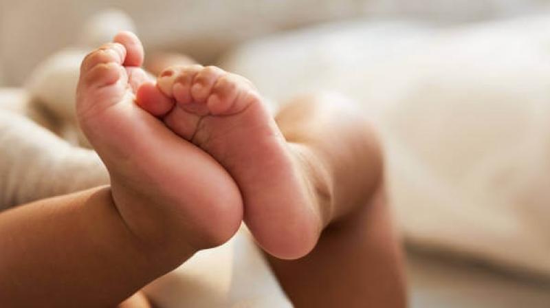 7-Day Old Newborn Stolen from Hardoi Medical College in UP, Family from Bilheri Village Seeks Help (Representative Image) 7-Day Old Newborn Stolen from Hardoi Medical College in UP, Family from Bilheri Village Seeks Help (Representative Image)