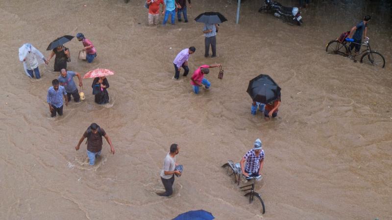 Punjab Weather Nowcast: Red Alert issued in several Districts, Heavy Rainfall Predicted Punjab Weather Nowcast: Red Alert issued in several Districts, Heavy Rainfall Predicted
