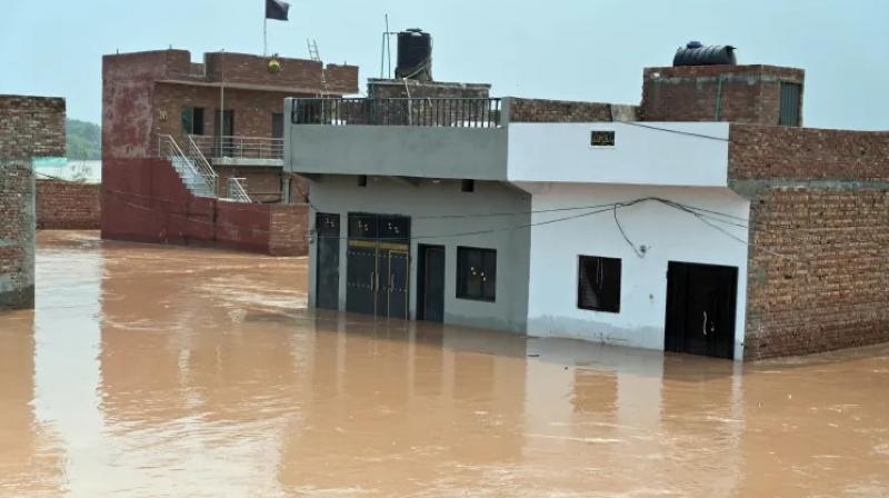 Punjab Floods: PWD To Check Strength & Structural Integrity Of Houses In Flood-Affected Villages Punjab Floods: PWD To Check Strength & Structural Integrity Of Houses In Flood-Affected Villages