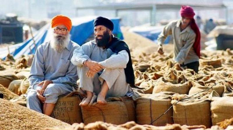 Government agencies and private millers have procured 201593.5 metric tonnes of Paddy Government agencies and private millers have procured 201593.5 metric tonnes of Paddy