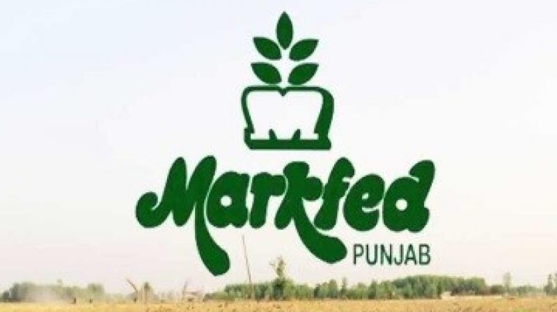 Markfed launches 'Sohna Khao, Sohna Jio' initiative Markfed launches 'Sohna Khao, Sohna Jio' initiative