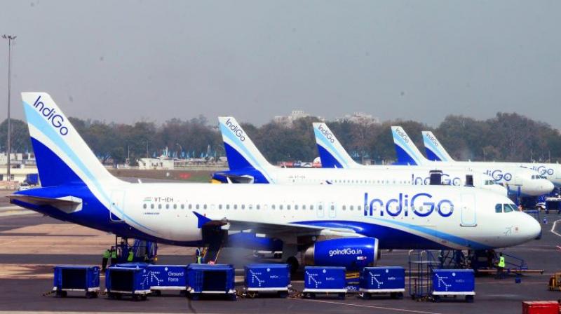 IndiGo Airlines IndiGo Airlines