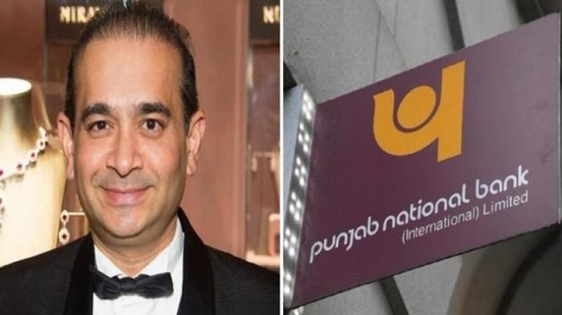 PNB Refuses To Disclose Details On Over Rs 13,000 Cr Scam PNB Refuses To Disclose Details On Over Rs 13,000 Cr Scam