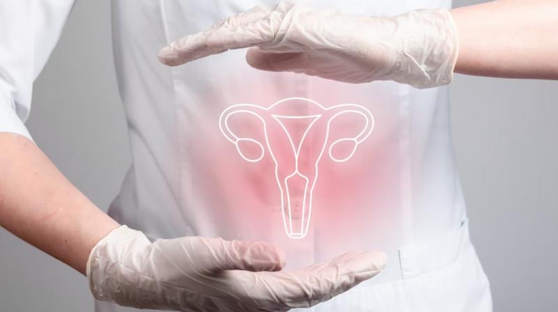 What is Cervical Cancer Causes Symptoms Precautions Poonam Pandey Death News 