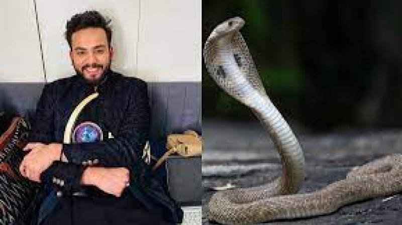 Elvish Yadav Latest News FSL Report Snake Venom in Rave Parties